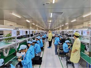 蘇寧拼購拼拼工廠再升級 老人機企業(yè)擁抱互聯網銷售，迎來增長新動力